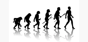 Bản chất con người