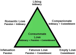 Lý thuyết tam giác tình yêu