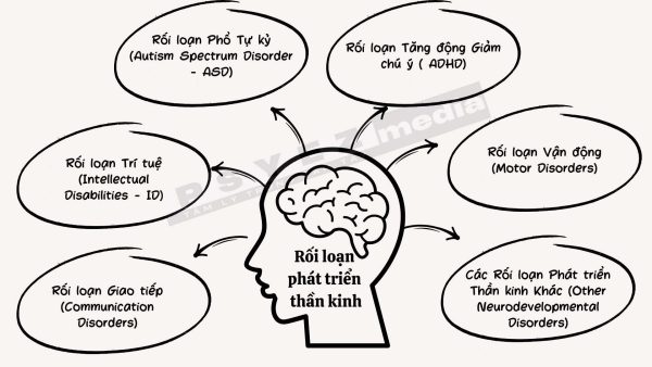 Phân loại rối loạn phát triển thần kinh (ND) theo DSM - 5
