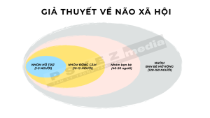 Giả thuyết về não xã hội