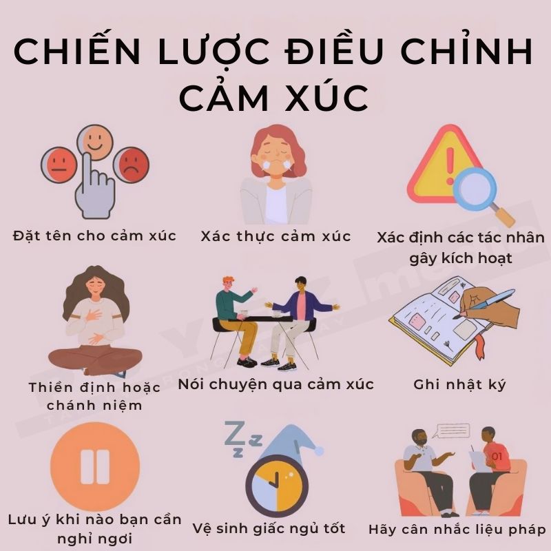 Chiến lược điều chỉnh cảm xúc