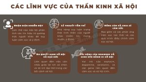 khoa học thần kinh xã hội