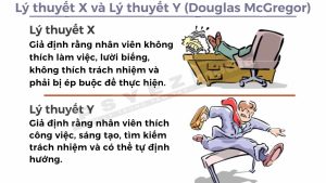 Lý thuyết X và Y