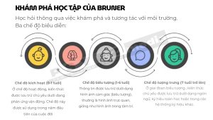 Ba chế độ biểu diễn trong lý thuyết phát triển nhận thức của Jerome Bruner