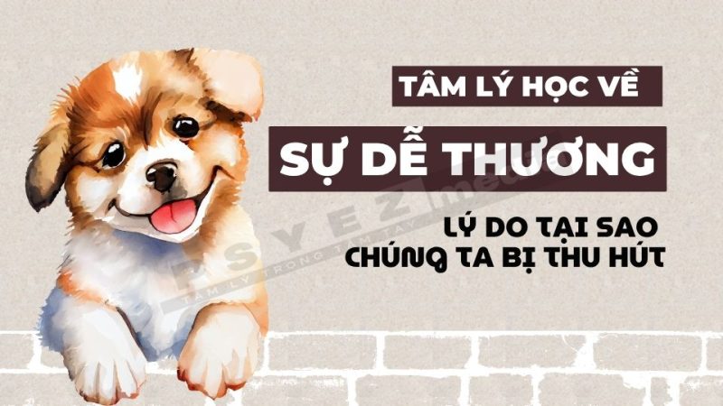 Tâm lý học về sự dễ thương