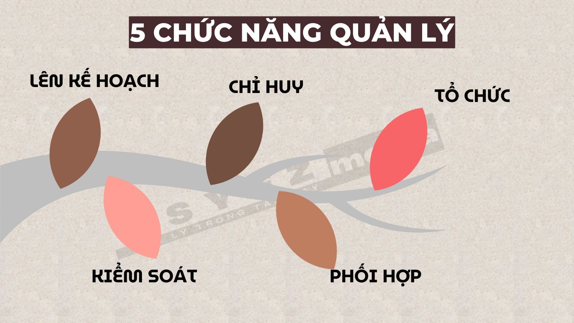 5 chức năng của lý thuyết quản lý của Henri Fayol