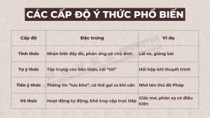 Các cấp độ của ý thức trong tâm lý học