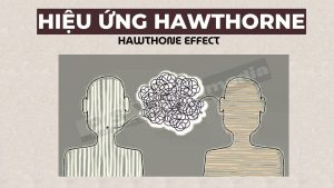 Hiệu ứng Hawthorne là gì