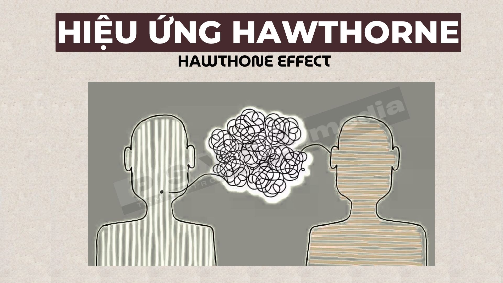 Hiệu ứng Hawthorne là gì