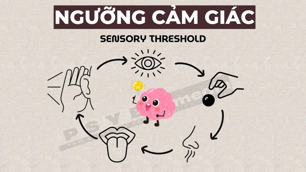 Phân biệt cảm giác và tri giác trong tâm lý học