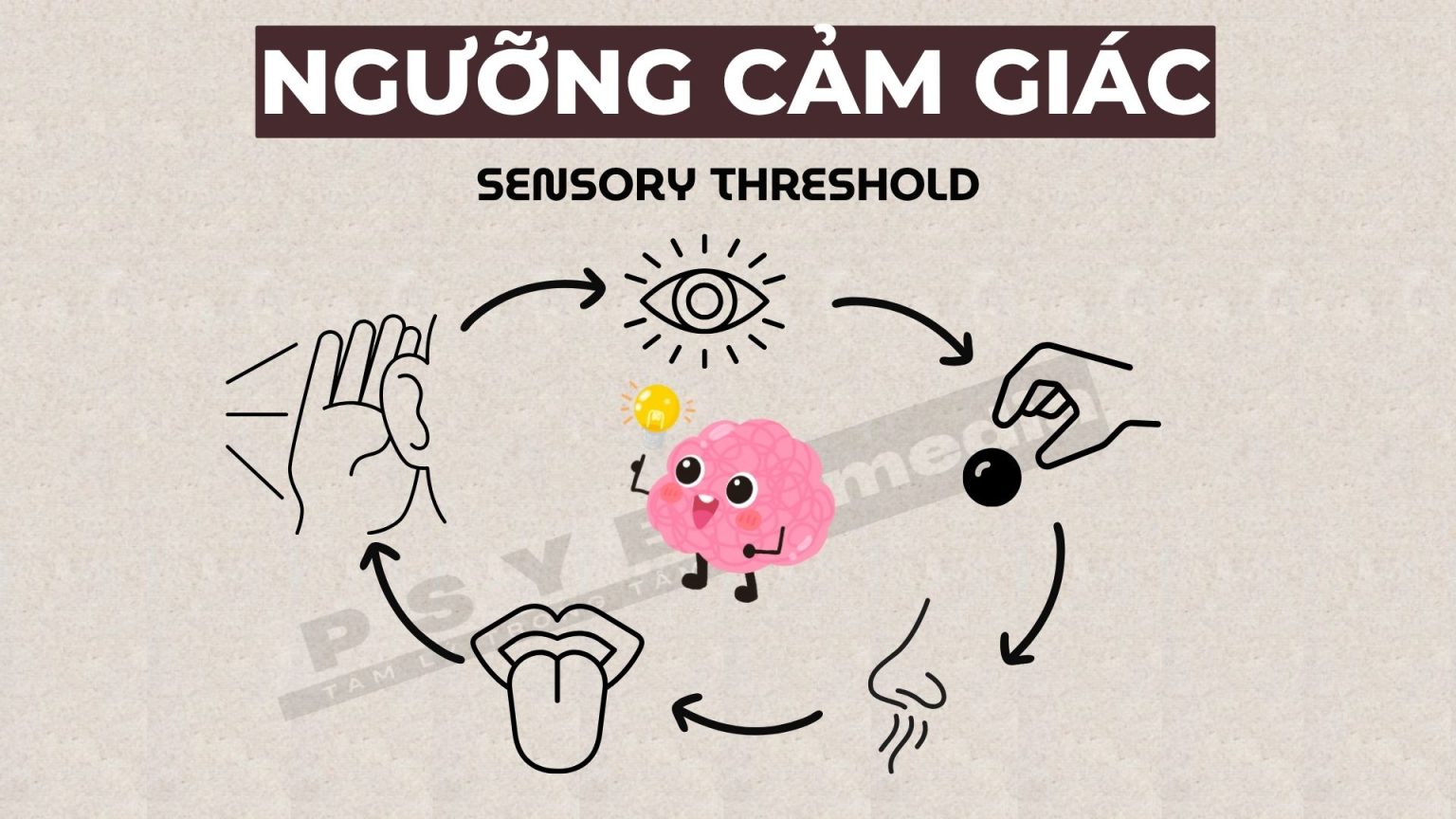 Phân biệt cảm giác và tri giác trong tâm lý học