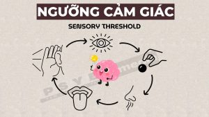 ngưỡng cảm giác