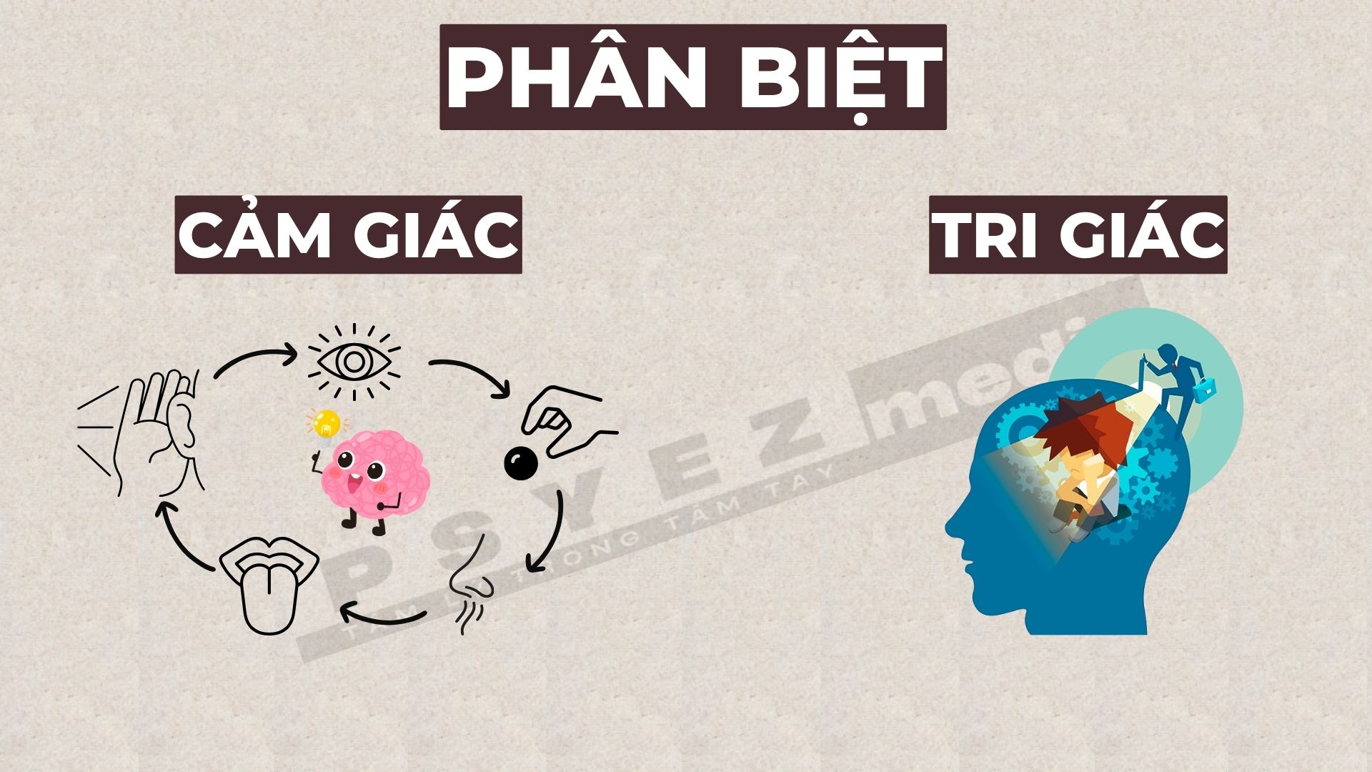 Phân loại Bloom: Mức độ nhận thức trong học tập - PSYEZ MEDIA