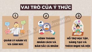 Vai trò chính của ý thức