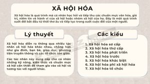 Xã hội hóa là gì?