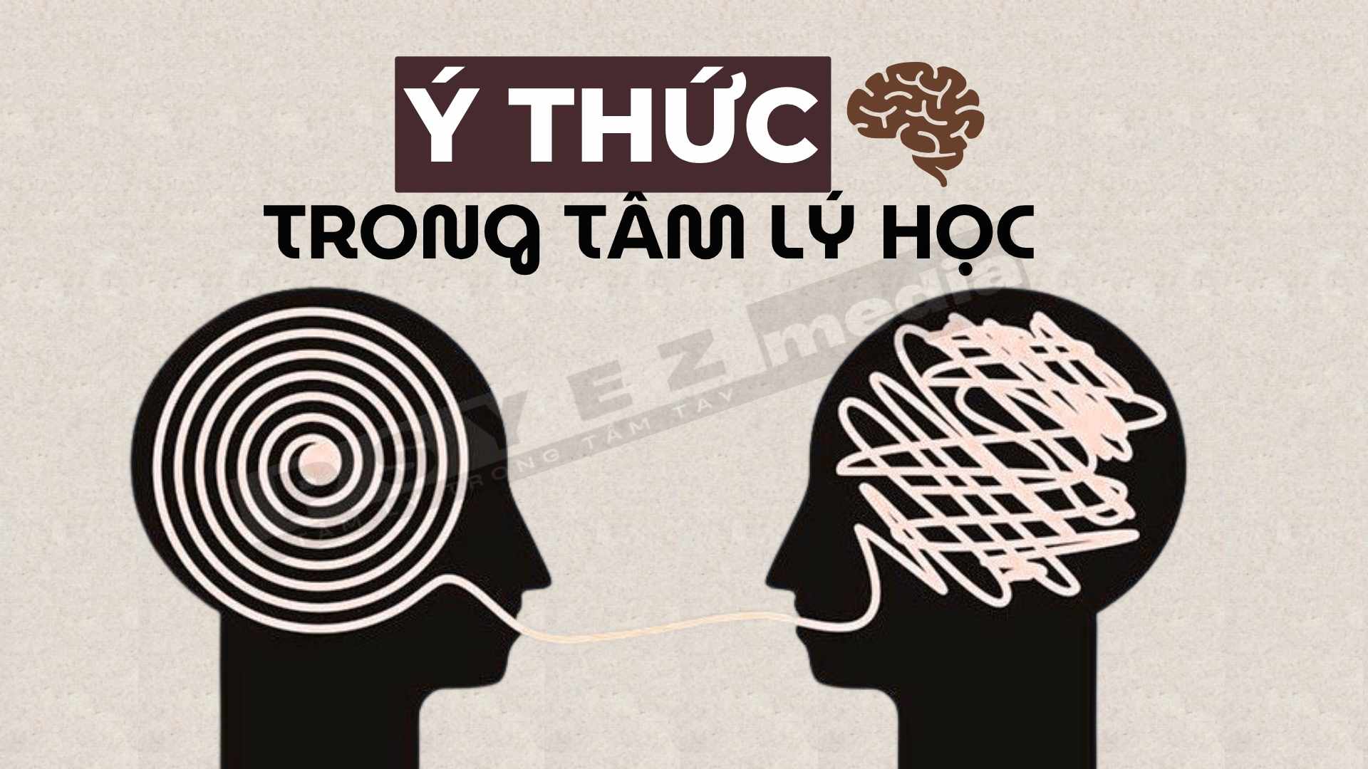 Phân biệt cảm giác và tri giác trong tâm lý học