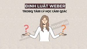 Định luật Weber trong tâm lý học cảm giác