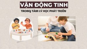 Vận động tinh trong tâm lý học phát triển