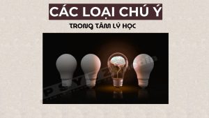 Các loại chú ý
